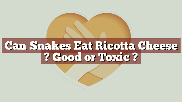 Can Snakes Eat Ricotta Cheese ? Good or Toxic ?