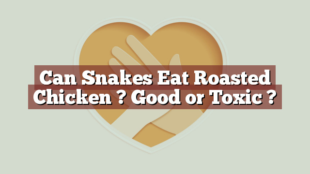 Can Snakes Eat Roasted Chicken ? Good or Toxic ?