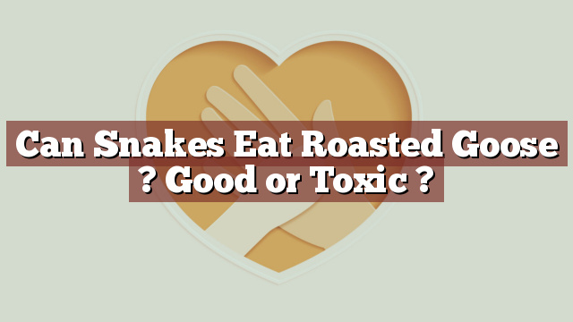 Can Snakes Eat Roasted Goose ? Good or Toxic ?