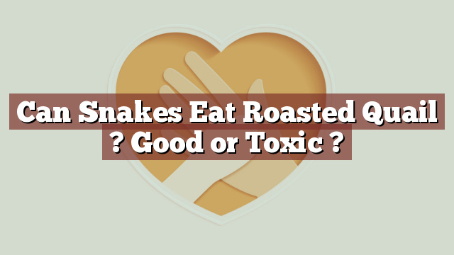 Can Snakes Eat Roasted Quail ? Good or Toxic ?