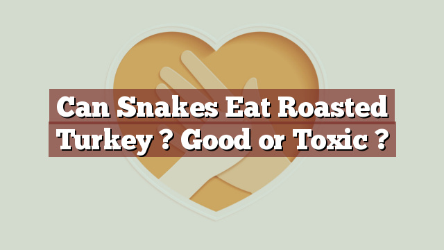 Can Snakes Eat Roasted Turkey ? Good or Toxic ?