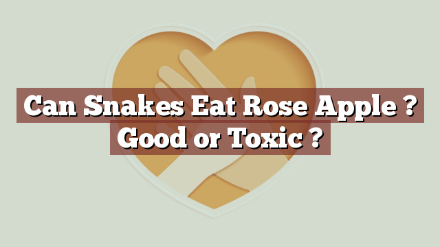 Can Snakes Eat Rose Apple ? Good or Toxic ?