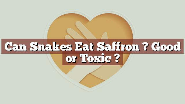 Can Snakes Eat Saffron ? Good or Toxic ?