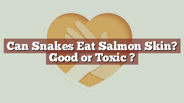 Can Snakes Eat Salmon Skin? Good or Toxic ?