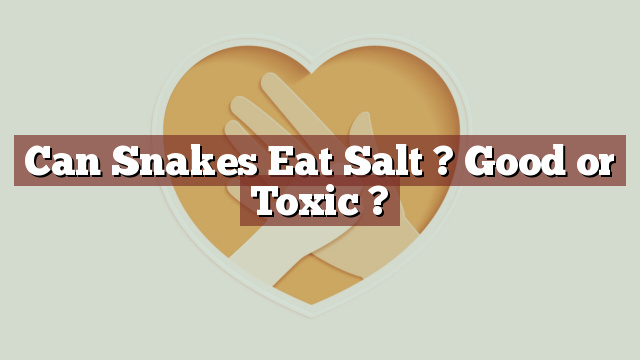 Can Snakes Eat Salt ? Good or Toxic ?