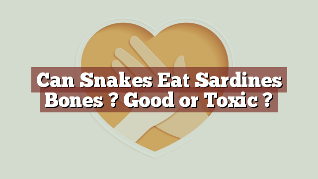 Can Snakes Eat Sardines Bones ? Good or Toxic ?
