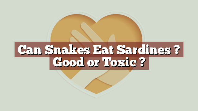 Can Snakes Eat Sardines ? Good or Toxic ?