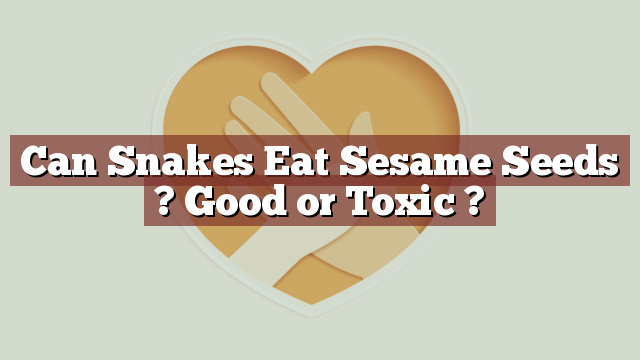 Can Snakes Eat Sesame Seeds ? Good or Toxic ?