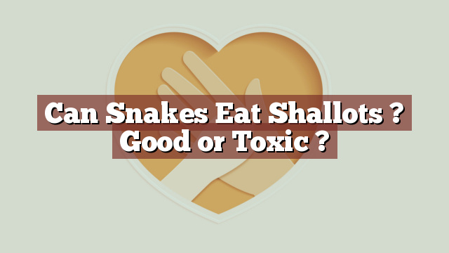 Can Snakes Eat Shallots ? Good or Toxic ?