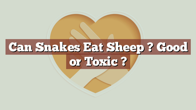 Can Snakes Eat Sheep ? Good or Toxic ?