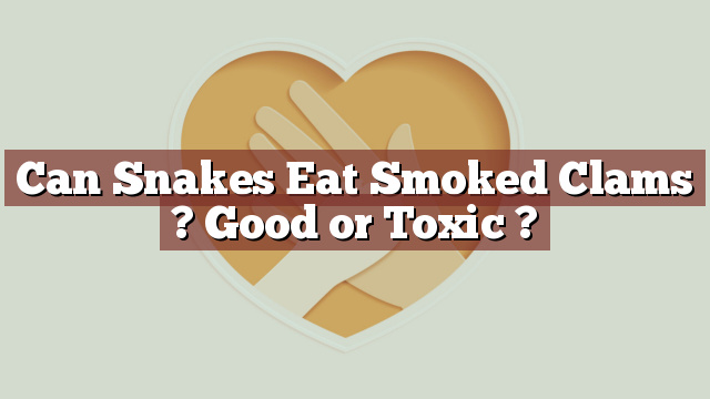 Can Snakes Eat Smoked Clams ? Good or Toxic ?