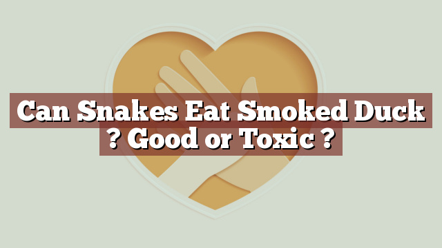 Can Snakes Eat Smoked Duck ? Good or Toxic ?