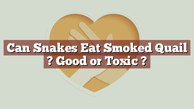 Can Snakes Eat Smoked Quail ? Good or Toxic ?