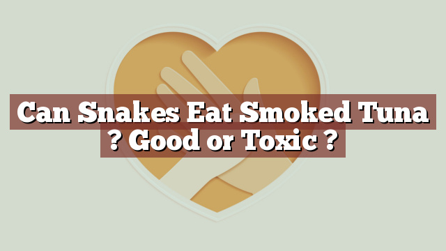 Can Snakes Eat Smoked Tuna ? Good or Toxic ?