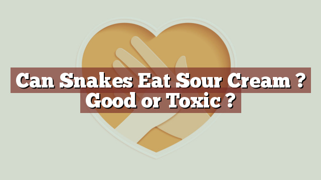 Can Snakes Eat Sour Cream ? Good or Toxic ?
