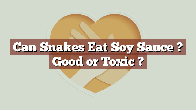 Can Snakes Eat Soy Sauce ? Good or Toxic ?