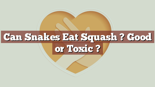 Can Snakes Eat Squash ? Good or Toxic ?