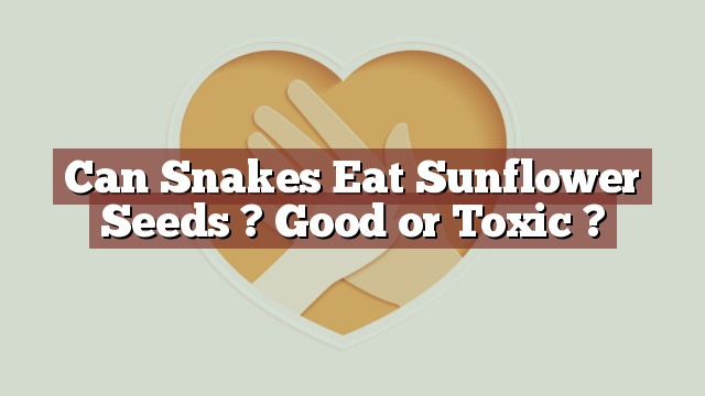 Can Snakes Eat Sunflower Seeds ? Good or Toxic ?