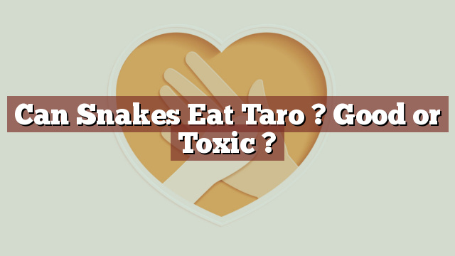 Can Snakes Eat Taro ? Good or Toxic ?