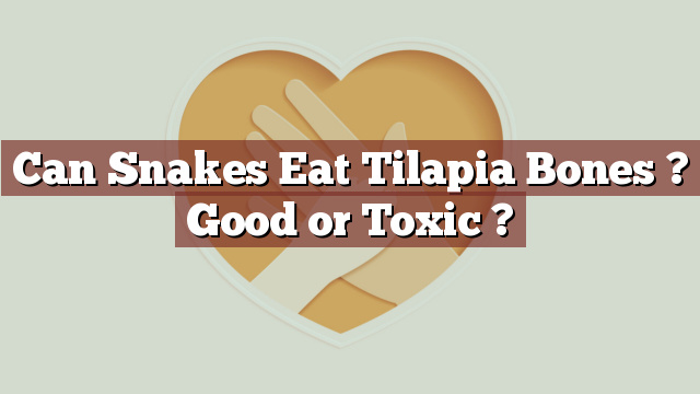 Can Snakes Eat Tilapia Bones ? Good or Toxic ?