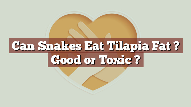 Can Snakes Eat Tilapia Fat ? Good or Toxic ?