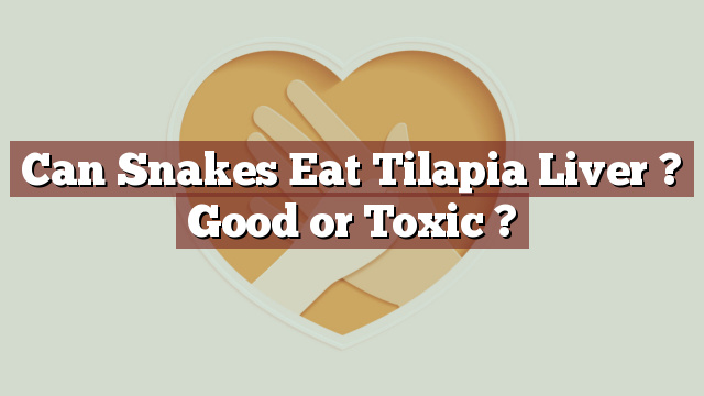 Can Snakes Eat Tilapia Liver ? Good or Toxic ?