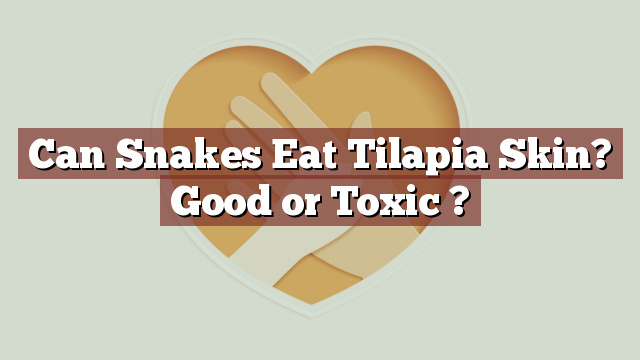 Can Snakes Eat Tilapia Skin? Good or Toxic ?