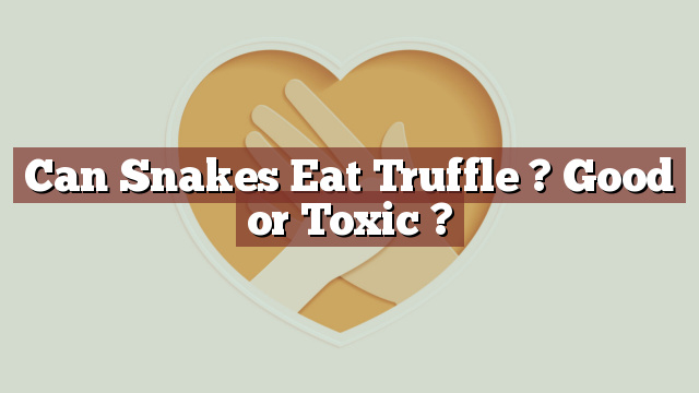Can Snakes Eat Truffle ? Good or Toxic ?
