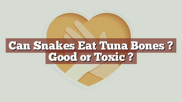 Can Snakes Eat Tuna Bones ? Good or Toxic ?