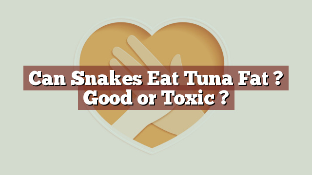 Can Snakes Eat Tuna Fat ? Good or Toxic ?