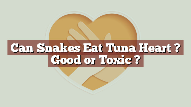 Can Snakes Eat Tuna Heart ? Good or Toxic ?