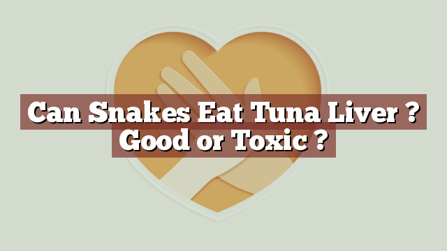 Can Snakes Eat Tuna Liver ? Good or Toxic ?