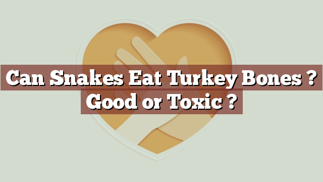 Can Snakes Eat Turkey Bones ? Good or Toxic ?