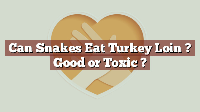 Can Snakes Eat Turkey Loin ? Good or Toxic ?