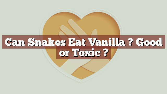 Can Snakes Eat Vanilla ? Good or Toxic ?