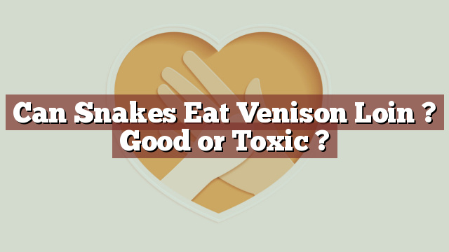 Can Snakes Eat Venison Loin ? Good or Toxic ?