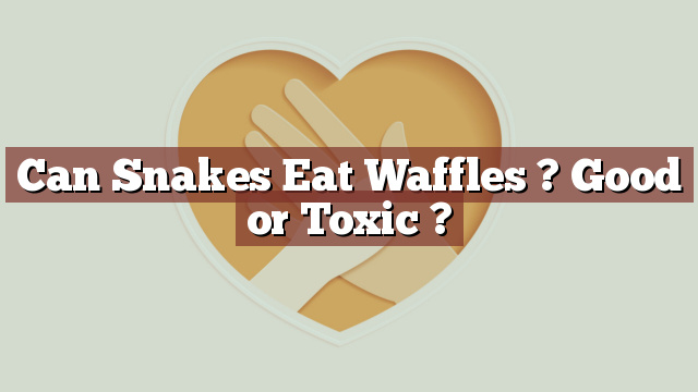 Can Snakes Eat Waffles ? Good or Toxic ?
