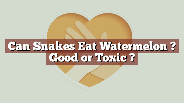 Can Snakes Eat Watermelon ? Good or Toxic ?