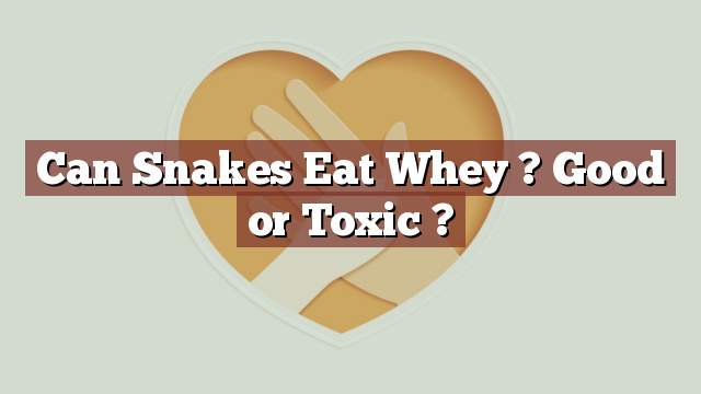 Can Snakes Eat Whey ? Good or Toxic ?