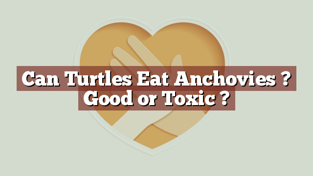 Can Turtles Eat Anchovies ? Good or Toxic ?
