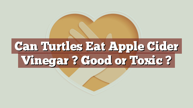 Can Turtles Eat Apple Cider Vinegar ? Good or Toxic ?