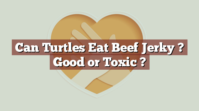 Can Turtles Eat Beef Jerky ? Good or Toxic ?