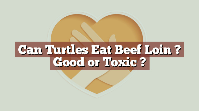 Can Turtles Eat Beef Loin ? Good or Toxic ?