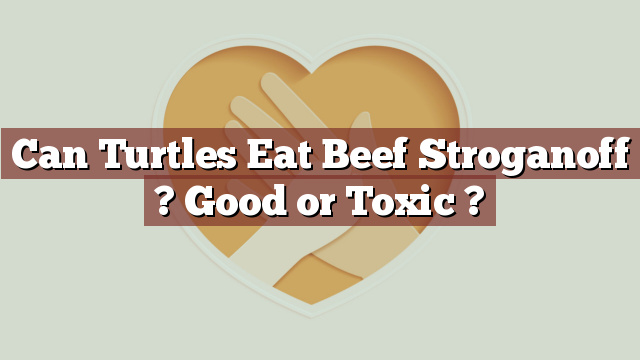 Can Turtles Eat Beef Stroganoff ? Good or Toxic ?