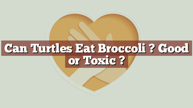 Can Turtles Eat Broccoli ? Good or Toxic ?