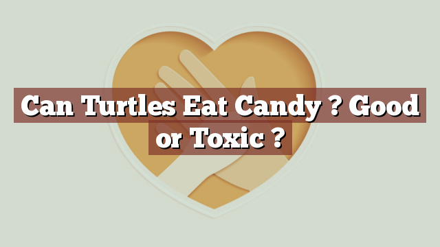 Can Turtles Eat Candy ? Good or Toxic ?