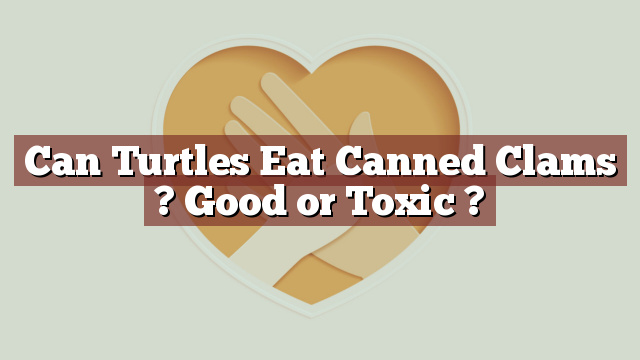Can Turtles Eat Canned Clams ? Good or Toxic ?