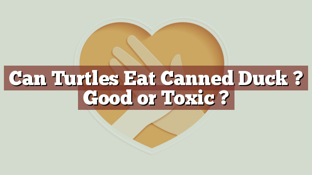 Can Turtles Eat Canned Duck ? Good or Toxic ?
