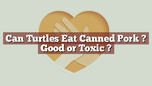 Can Turtles Eat Canned Pork ? Good or Toxic ?
