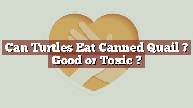 Can Turtles Eat Canned Quail ? Good or Toxic ?